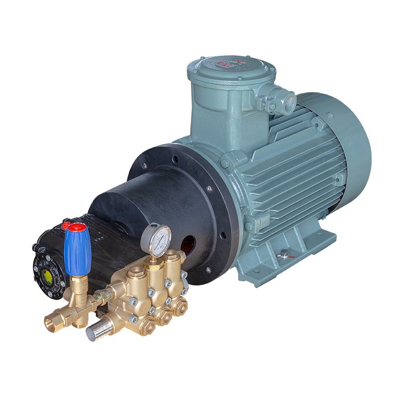 防爆型電機連泵DSEP7215-15-6-380V